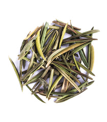 Olive Leaf - Herbs - DGStoreUK.com
