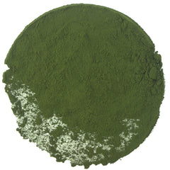 Chlorella Powder Spice DGStoreUK
