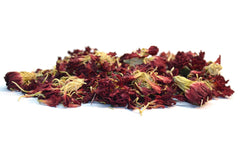 Carnation Flowers - Dried Flowers - DGStoreUK.com