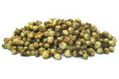 Camellia Buds Dried Flowers DGStoreUK