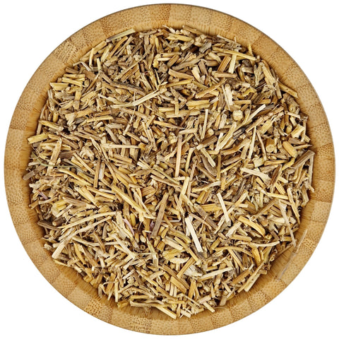 Coach Grass Rhizome