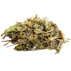 Dandelion Leaf - Herbs - DGStoreUK.com