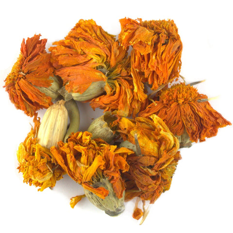 Tagetes / French Marigold Flowers Dried Flowers DGStoreUK 
