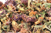 Red Clover - Dried Flowers - DGStoreUK.com