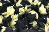 Hollyhock - Black Mallow,Dried Flowers,DGStoreUK